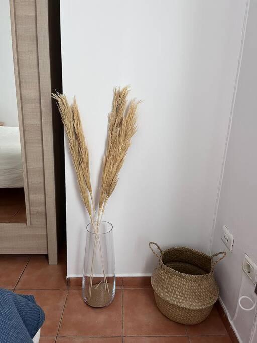 Casa Lunita Apartman Arona  Kültér fotó